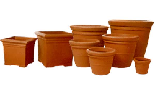 Illawarra Indoor Plant Hire, Terracotta pots