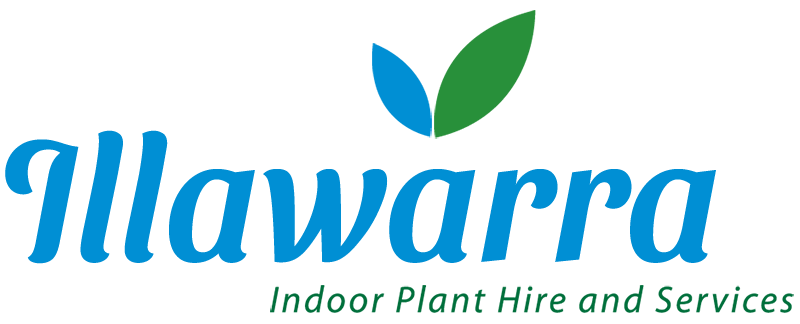 Illawarra Indoor Plant Hire